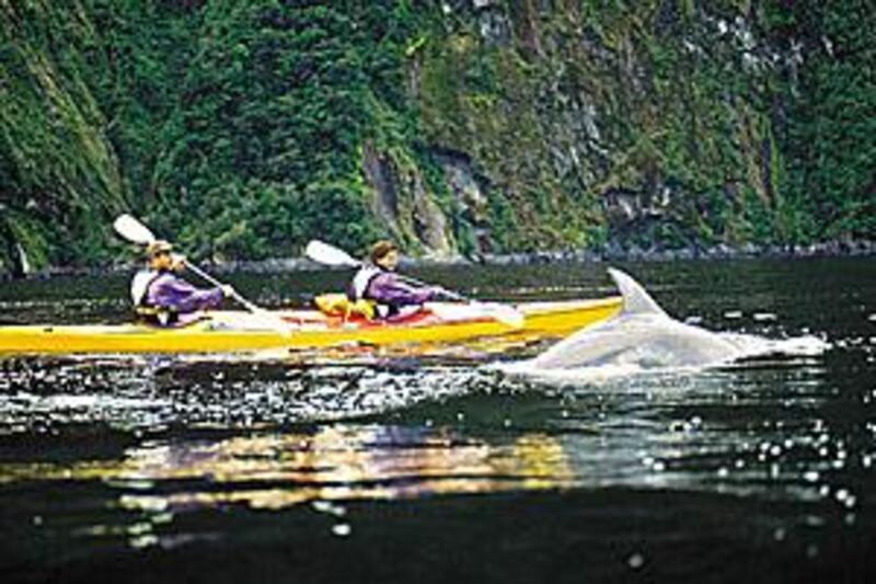 A couple paddle their kayak while flanked by a dolphin in New 
Zealand's Milford Sound.