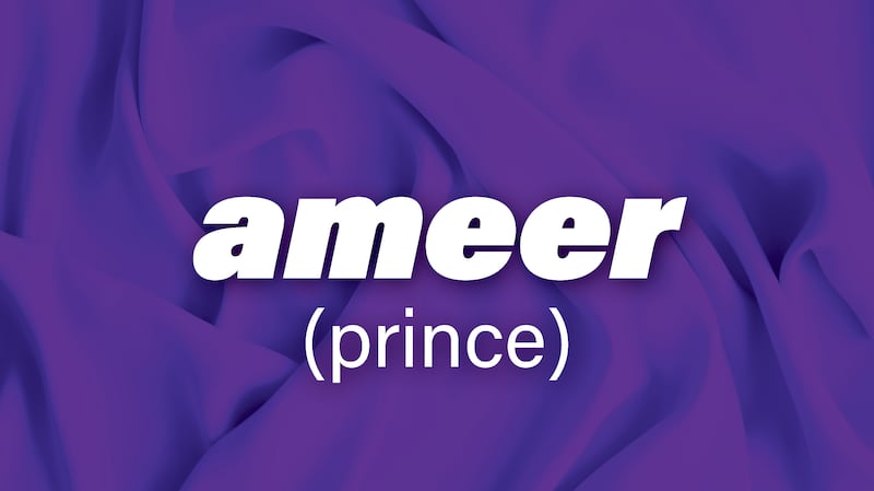 Ameer translates to prince in English