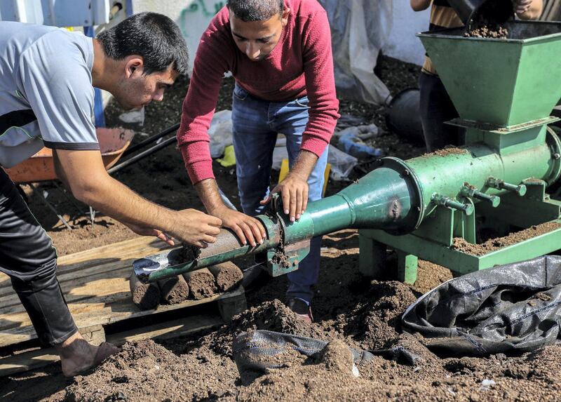 Gazan Entrepreneur Project Turns Olive Waste into a Valuable Resource. The team uses its machine to produce green cakes. Photo by Muhammad Shehada