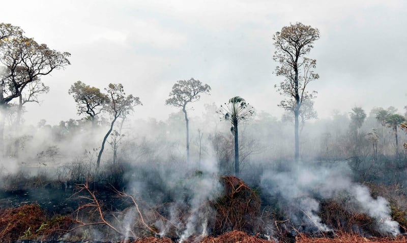 Smokes rises from forest fires in Otuquis National Park, in the Pantanal ecoregion of southeastern Bolivia, on August 26, 2019.   Like his far right rival President Jair Bolsonaro in neigboring Brazil, Bolivia's leftist leader Evo Morales is facing mounting fury from environmental groups over voracious wildfires in his own country. While the Amazon blazes have attracted worldwide attention, the blazes in Bolivia have raged largely unchecked over the past month, devastating more than 9,500 square kilometers (3,600 square miles) of forest and grassland. / AFP / Aizar RALDES
