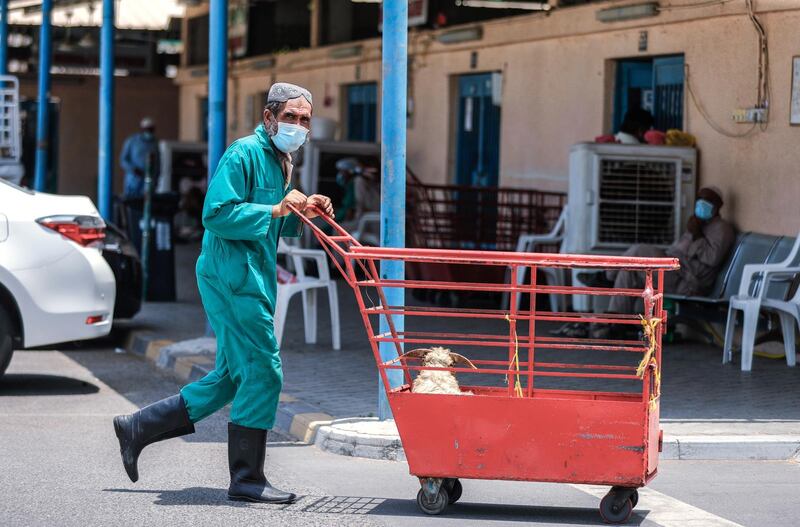 Abu Dhabi, United Arab Emirates, July 29, 2020.   
A goat is carted to the Abu Dhabi Public Slauter House to be professionally partitioned.
Victor Besa  / The National
Section: NA
Reporter:  Haneen Dajani