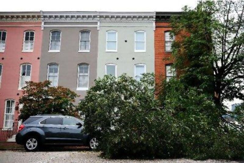 In Anne Tyler's The Beginner's Goodbye, the protagonist's wife is killed when a tree crashes into their home. Patrick Smith / Getty Images