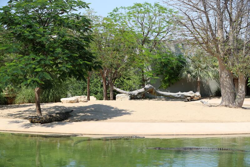 Dubai Crocodile Park covers 20,000 square metres and houses a natural history museum, a themed aquarium and outdoor landscaped areas 