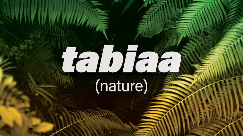 Tabiaa translates to nature and can frame landscapes and portraits