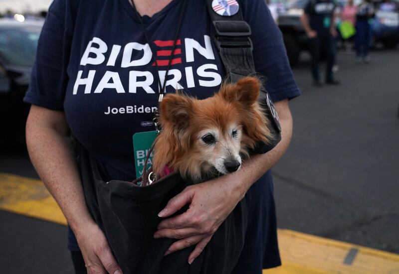 A supporter of Joe Biden and vice presidential candidate Senator Kamala Harris carries her dog, in Philadelphia, Pennsylvania in October.