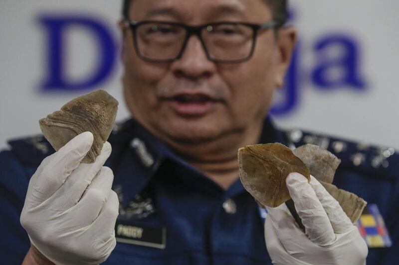 Pangolin scales, such as these held by Paddy Abdul Halim from the customs department in Kuala Lumpur, are used in traditional Chinese and African medicine despite their being no evidence of their efficacy. Fazry Ismail / EPA