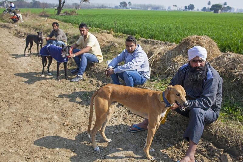 Local villagers and their race dogs wait for the start of their event.