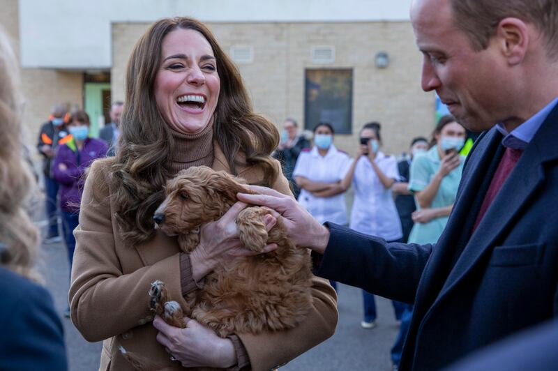 Britain's Prince William and Kate, Duchess of Cambridge, visited the Clitheroe Community Hospital in Lancashire, on Thursday. While there they met new 'therapy puppy' Alfie, an apricot cockapoo. AP Photo