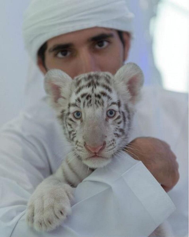 The royal cuddling a cute young tiger. Instagram / Faz3