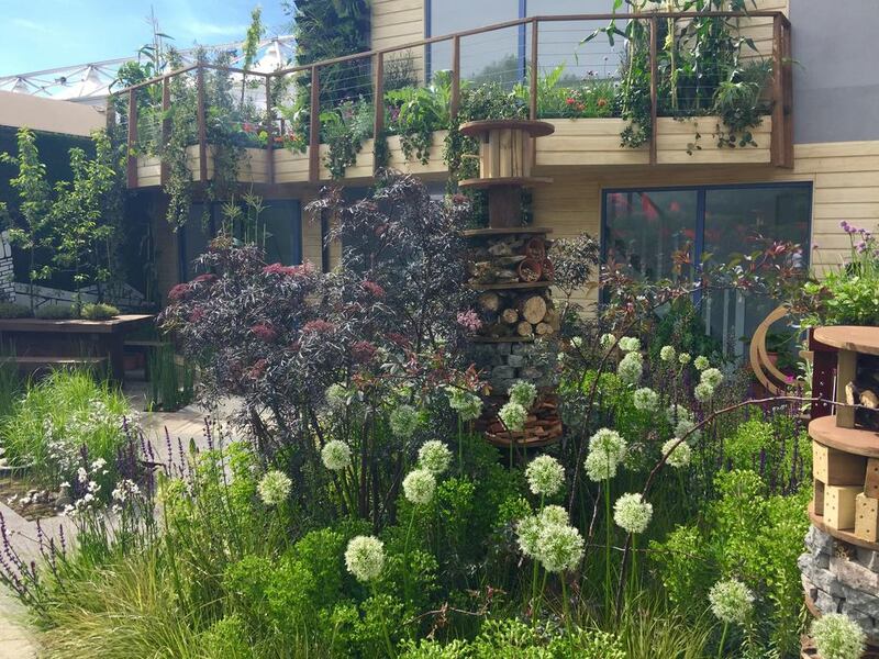 Nigel Dunnett - RHS Greening Grey Britain - insect friendly, low maintenance and edible planting with community and private gardening spaces. Courtesy RHS Chelsea Flower Show