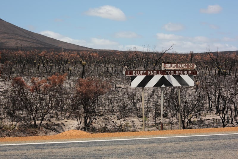 The aftermath of the 2019-2020 bushfires in the Stirling Ranges National Park, Western Australia. Louise Burke/The National