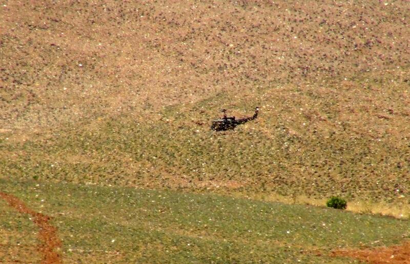 Lebanese Army helicopter fight a swarm of desert locusts in Lebanon's northeastern town of Arsal on the border with Syria. AFP