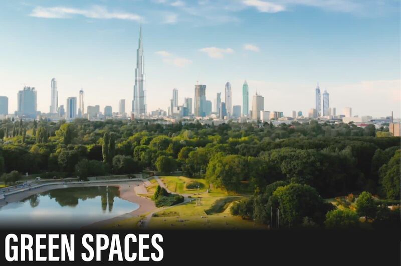 Plan: Dedicate 60 per cent of Dubai emirate to nature reserves and natural areas