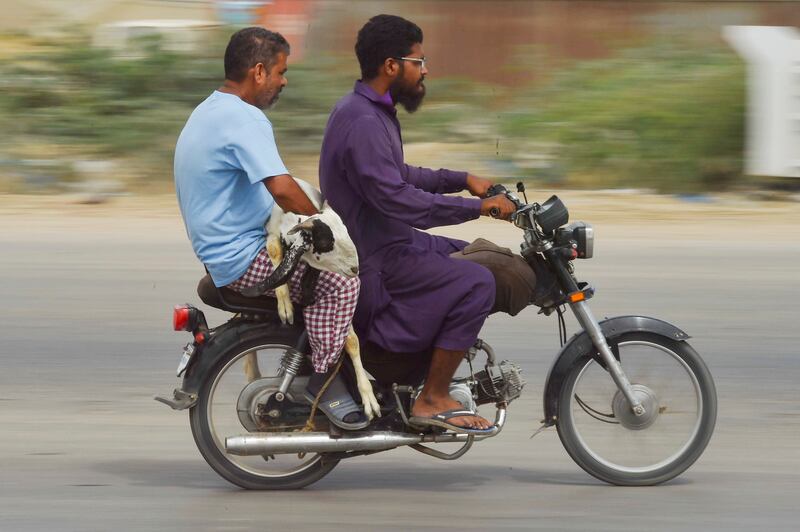 A motorbike ride home with a sacrificial animal in Karachi, Pakistan. EPA