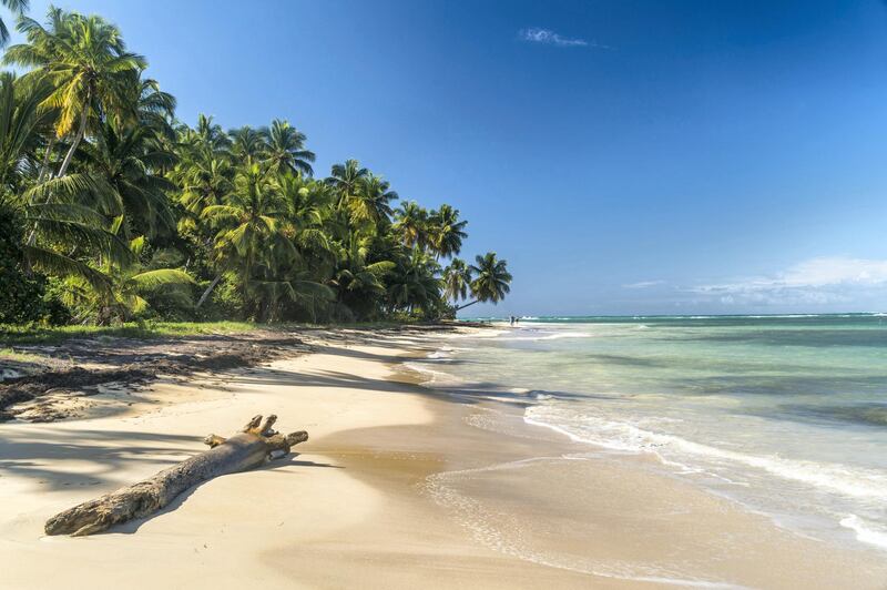 Mandatory Credit: Photo by REX/Shutterstock (5645519a)
Dominican Republic, Peninsula Samana, Las Terrenas, Beach of El Portillo
VARIOUS