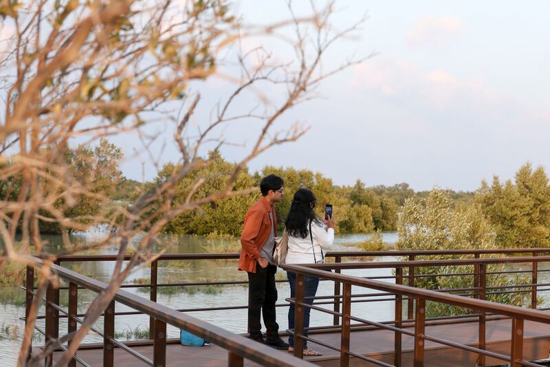 Take a stroll through Abu Dhabi's Jubail Mangrove Park before it gets too hot. Khushnum Bhandari / The National