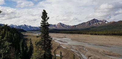 Inside Denali National Park. 