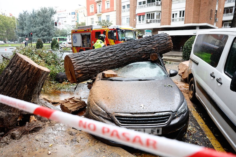 A car crushed by a log in the Spanish capital Madrid. EPA