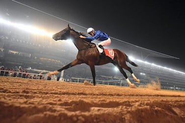 There will be no spectators at Meydan Racecourse on March 28 to see the 2020 Dubai World Cup. AFP