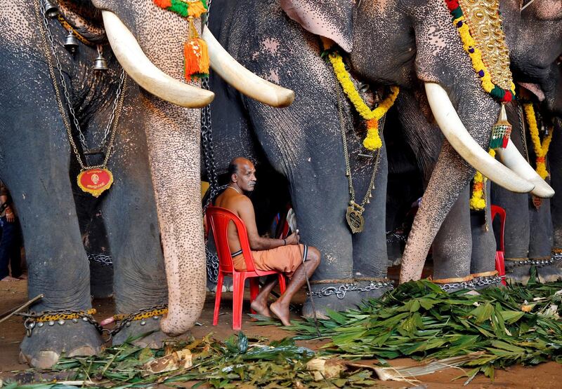 A mahout sits between elephants participating in Onam festivities, on the outskirts of Kochi. AP