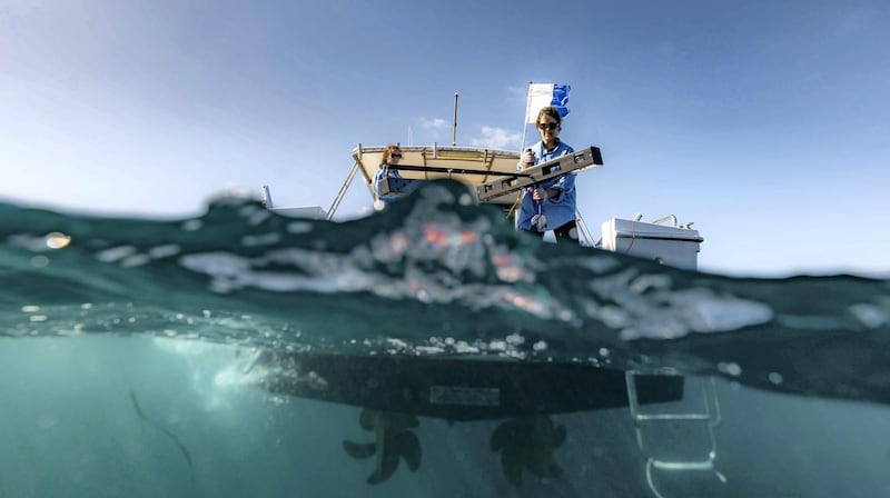 The UK is launching the world's first network of underwater camera rigs, known as Bruvs, to monitor and protect ocean wildlife. Courtesy Blue Abacus