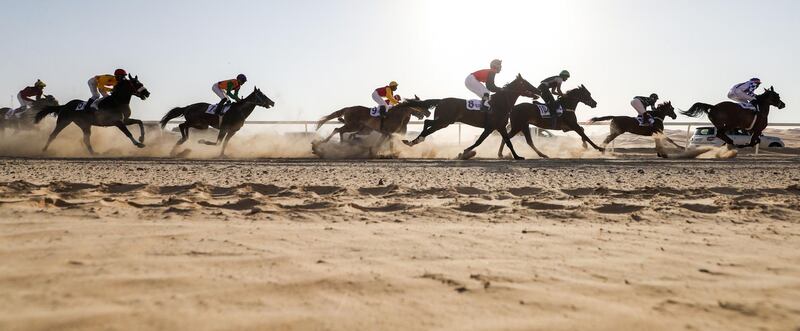 Jockeys compete in a race for purebred Arab horses during the Liwa 2019 Moreeb Dune Festival in the Liwa desert.  AFP