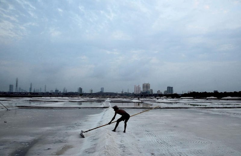 An Indian labourer collects salt at a salt pan on the outskirts of Mumbai. While the development of unused salt pan land is being viewed as a possible answer to the city’s staggering housing problem, real estate dealers feel that redevelopment of government-owned salt pans could get delayed for decades unless the private sector is allowed to participate. Indranil Mukherjee / AFP