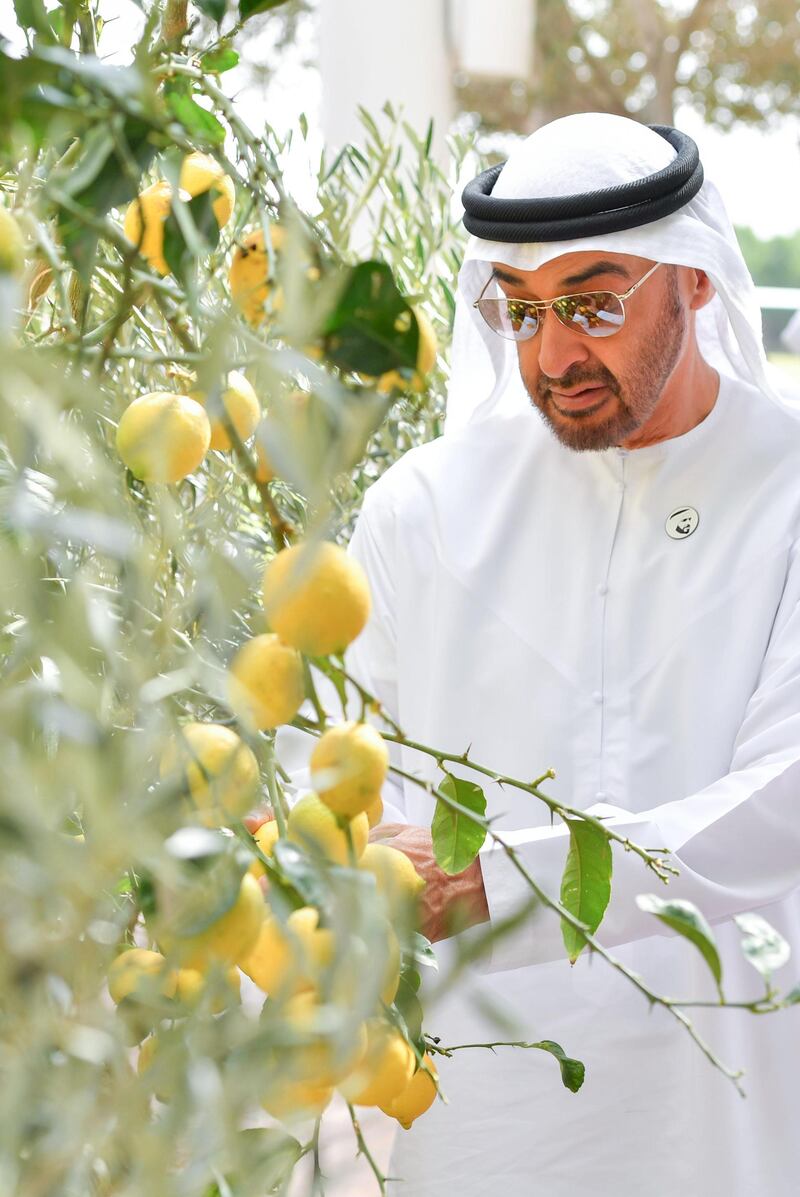 Sheikh Mohamed bin Zayed, Crown Prince of Abu Dhabi and Deputy Supreme Commander of the UAE Armed Forces. Dubai Media Office / Wam