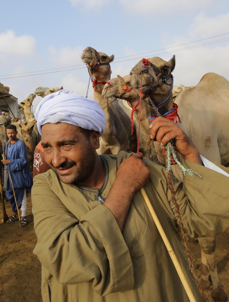 A herdsman pulls a camel to Birqash Camel Market.