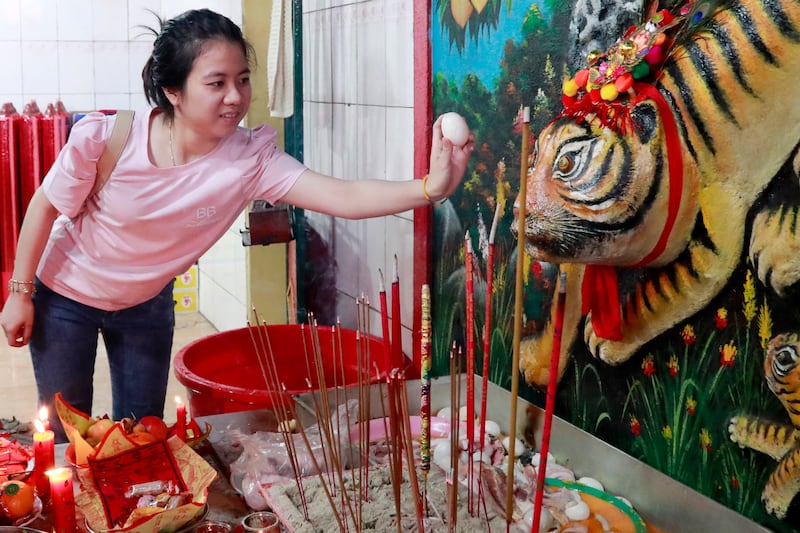 An egg is offered to tiger sculptures at a Chinese temple during Chinese Lunar New Year celebrations in Kandal province, Cambodia. EPA