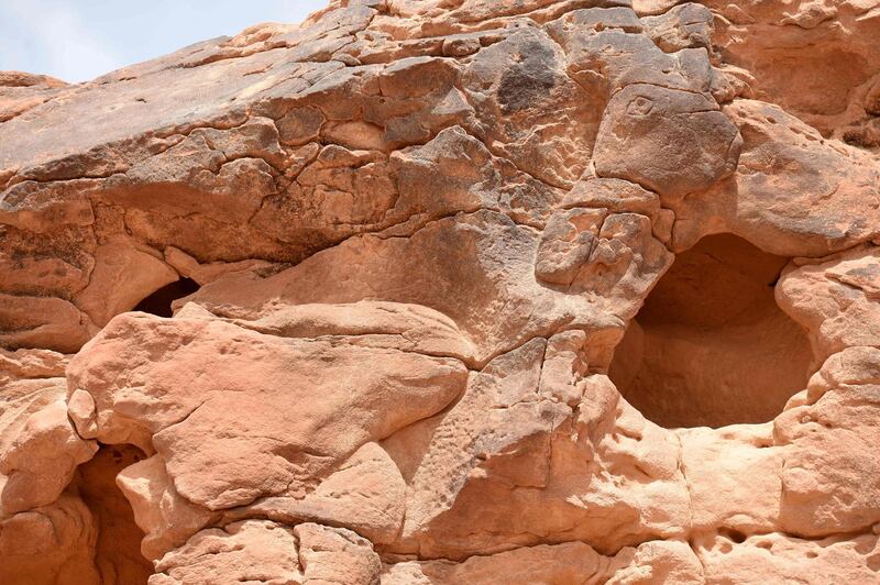 A picture taken on February 22, 2018 shows carved sculptures of a donkey facing the partial head of a camel at the site of an archaeological discovery about eight kilomtres north of the city of Sakaka in Saudi Arabia's northwestern Jawf province. / AFP PHOTO / Fayez Nureldine