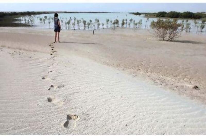 Abu Dhabi has launched an eco-tourism project that combines six nature reserves across eight islands. Stephen Lock / The National