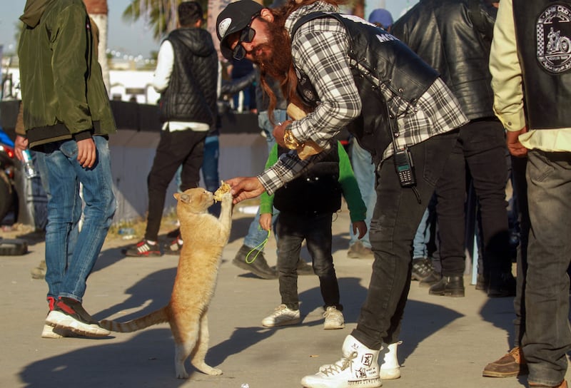 A street cat scrounges food off a biker at a motorcycle rally in Benghazi.