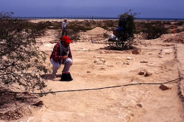 Early excavations at the Sir Bani Yas monastery in 1995. Courtesy Department of Culture and Tourism Abu Dhabi