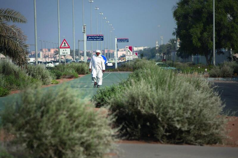 One side of Sheikh Zayed Bin Sultan Street in Abu Dhabi is now landscaped in a new desert-style, with local, heat-resistant plants that consume less water. Silvia Razgova / The National