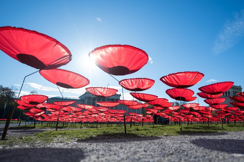 A view of an art installation of 3,200 giant poppy flowers made of artificial silk to remember the end of World War I at Koenigsplatz square in Munich, Germany.  EPA