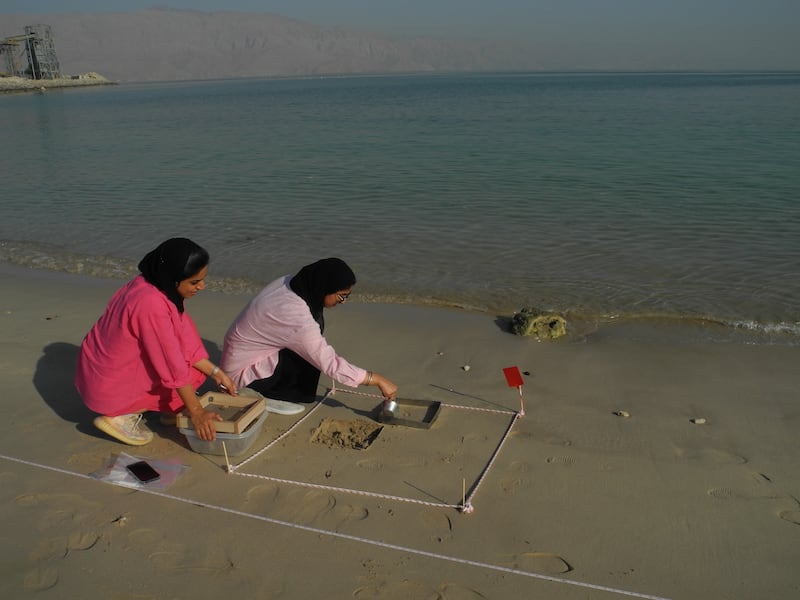 Samples were collected from nine areas around the coast. Photo: Ministry of Climate Change and Environment