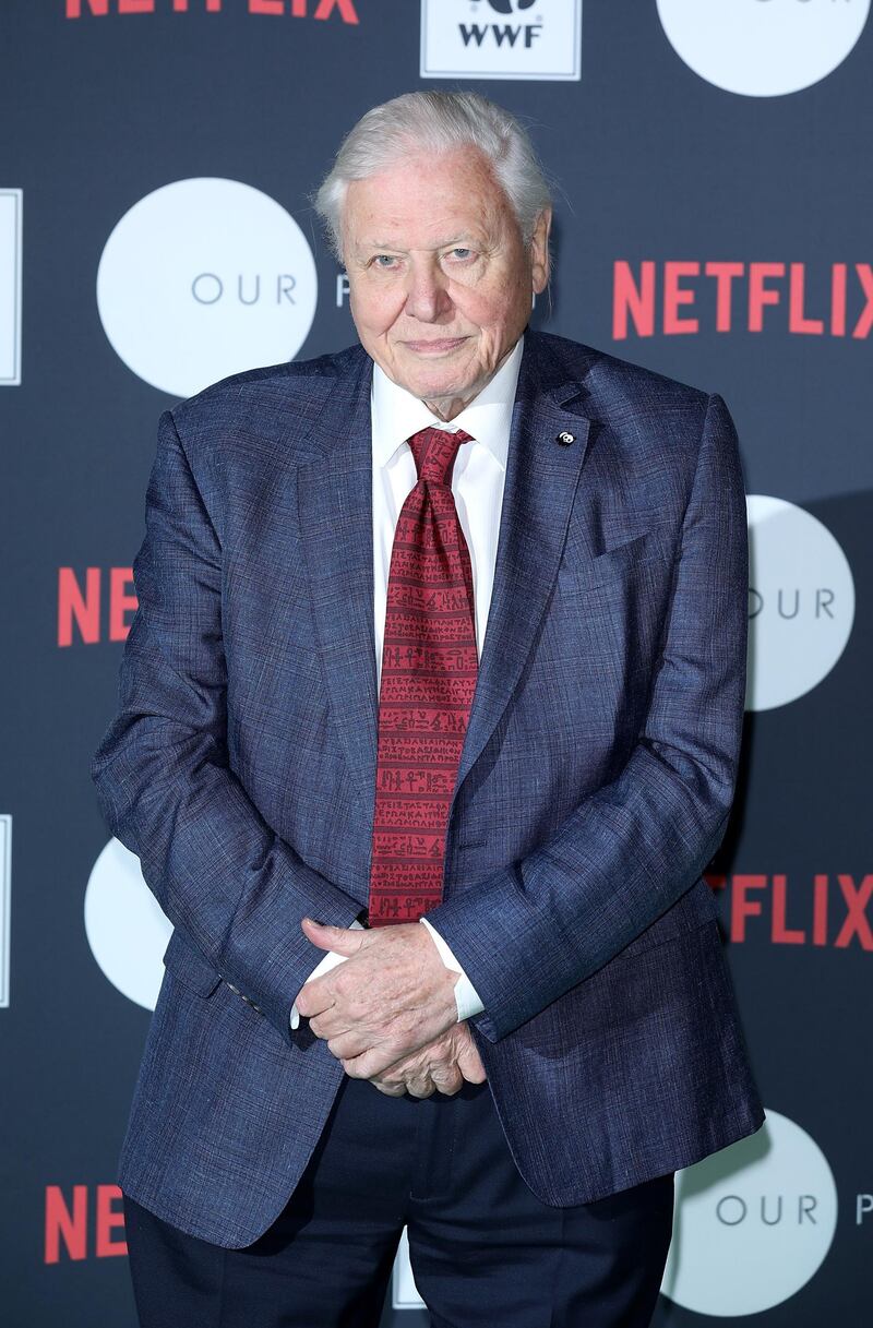 LONDON, ENGLAND - NOVEMBER 08:  Sir David Attenborough attends Netflix's 'Our Planet' announcement at WWF's State of the Planet Address at Westminster Central Hall on November 8, 2018 in London, England.  (Photo by Tim P. Whitby/Tim P. Whitby/Getty Images)