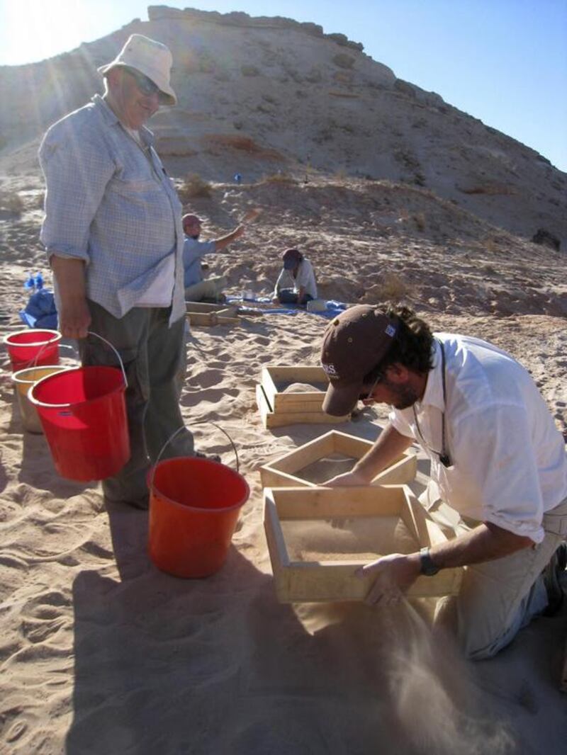 Scientists sifting through material on Shuwaihat Island in Abu Dhabi,  looking for fossils. Courtesy Dr Faysal Bibi. 