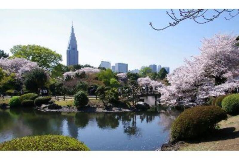 Early April heralds the cherry-blossom season in Tokyo. Yasufumi Nishi / JNTO