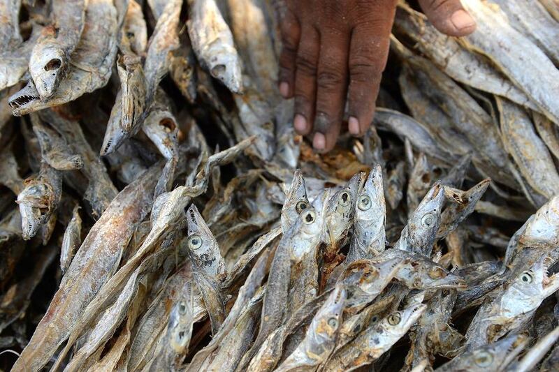 An Indian worker packs dried fish ahead of the monsoon season. Indranil Mukherjee / AFP