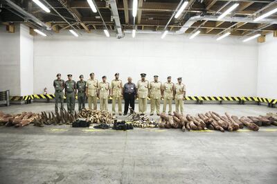 Thousands of ivory tusks and other contraband seized by Dubai Police are handed over to the Ministry of Climate Change and Environment to be destroyed. Courtesy Dubai Police