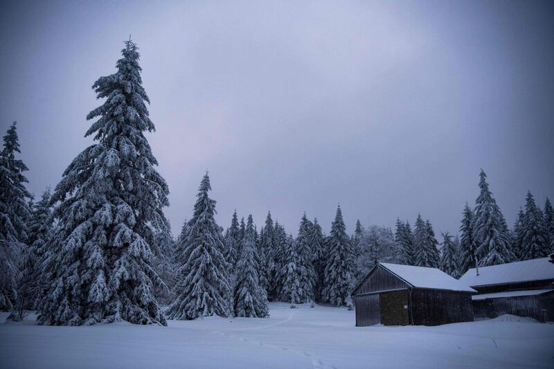 Coniferous trees are covered by snow in the Fichtelgebirge mountains in Neubau near Bayreuth, southern Germany. AFP