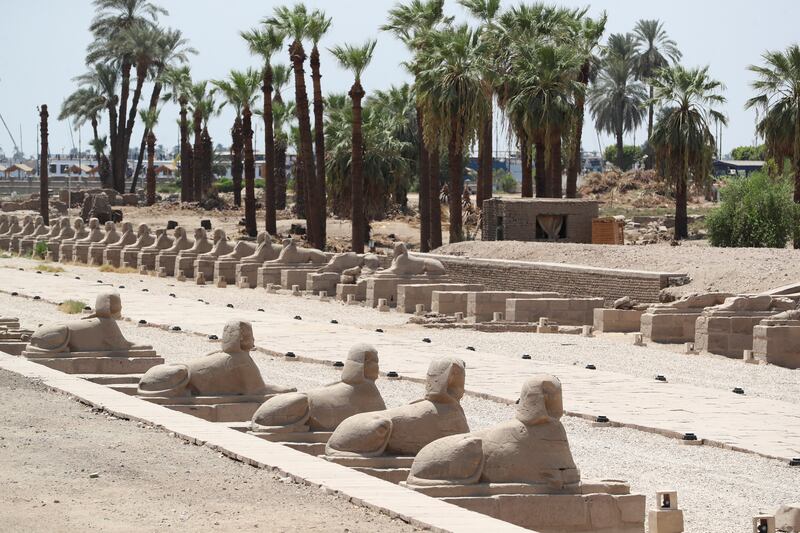 The Avenue of Sphinxes, a 2,700-metre corridor that connects Karnak Temple Complex and Luxor Temple, will be reopened to the public this year. Reuters