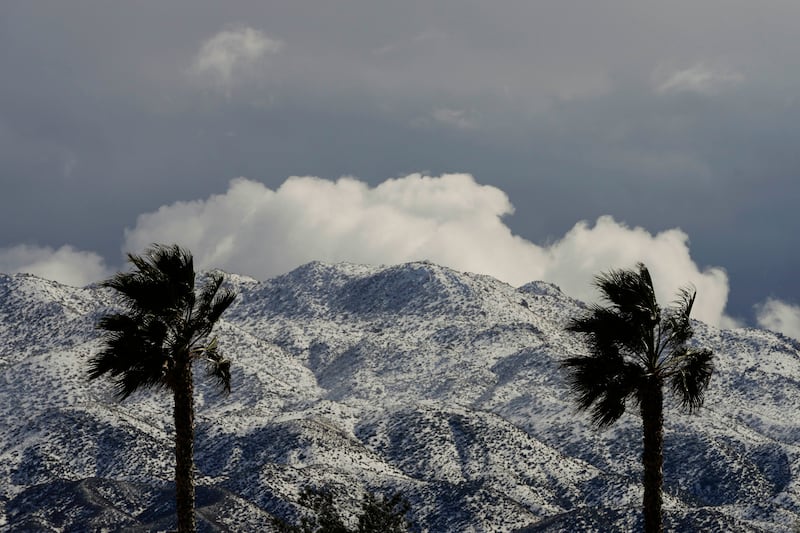 Two palms trees stand in front of snow-covered mountains in Hesperia, California. AP