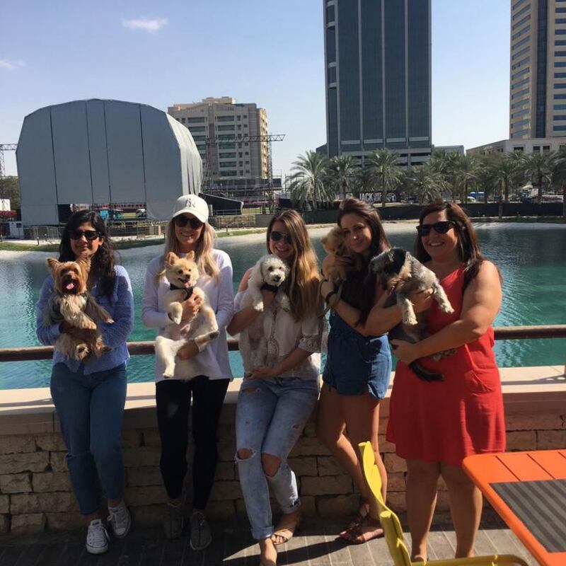 Customers at the Puppy Brunch at Urban Bistro in Dubai Media City.