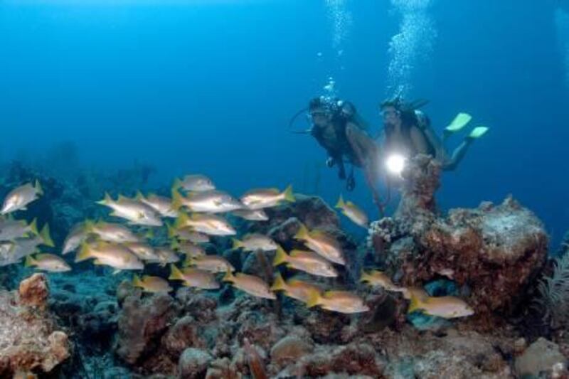 Amanyara - Diving - Fish n Coral Reef, Turks and Caicos. Photo credit: Aman Resorts
