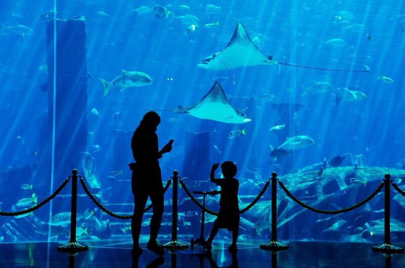 A woman and her child look at fish in the aquarium at the Atlantis Hotel in Dubai.  AP