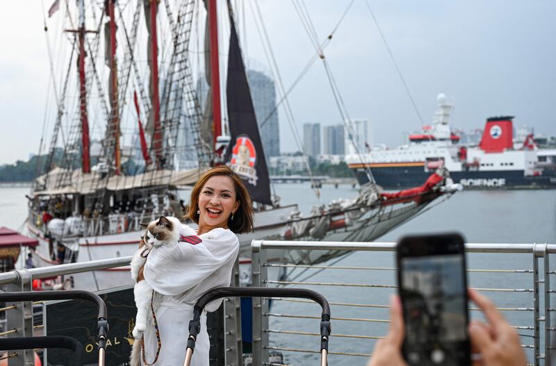 Visitors can board the Royal Albatross, a luxury tall ship that hosts sailing and dining experiences around Singapore with pets allowed. All photos: AFP