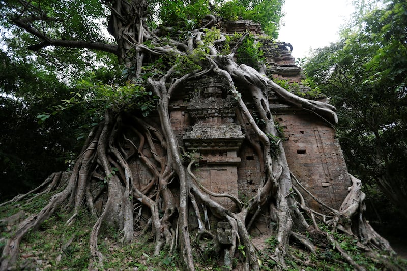 Sambor Prei Kuk, or "the temple in the richness of the forest" an archaeological site of ancient Ishanapura, is seen after being listed as a UNESCO world heritage site, in Kampong Thom province, Cambodia July 15, 2017. Picture taken July 15, 2017. REUTERS/Samrang Pring